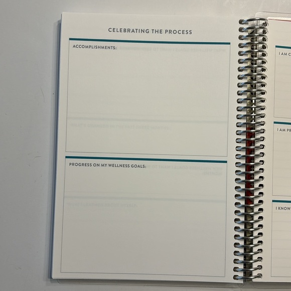 Erin Condron Undated Daily Wellness Planner - Picture 12 of 15